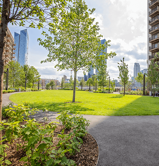 Harbord Square gardens south side view