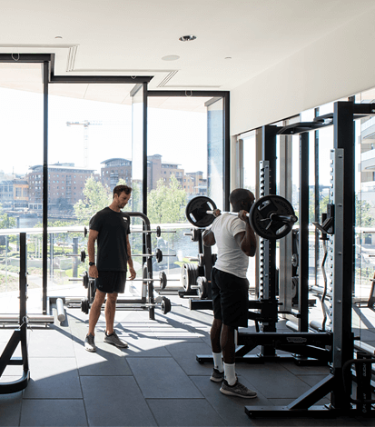 people working out in the gym