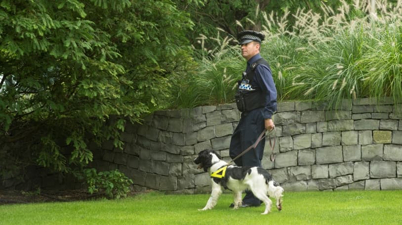 Security at Canary Wharf